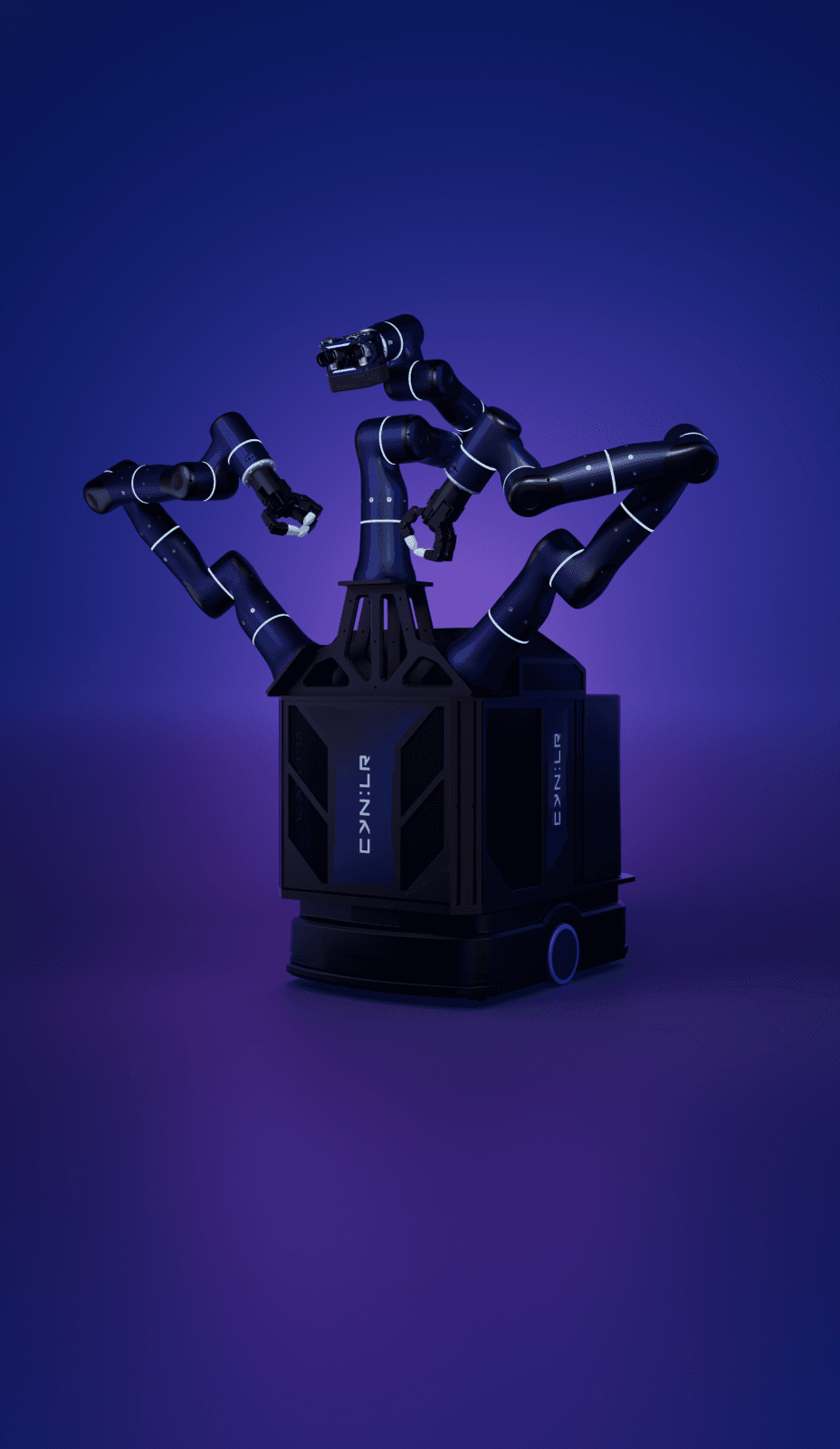 CyNoid - 7A